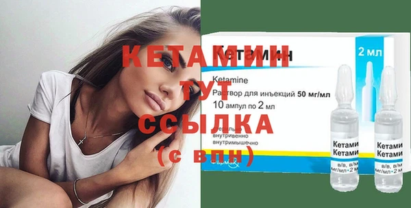 индика Гусь-Хрустальный