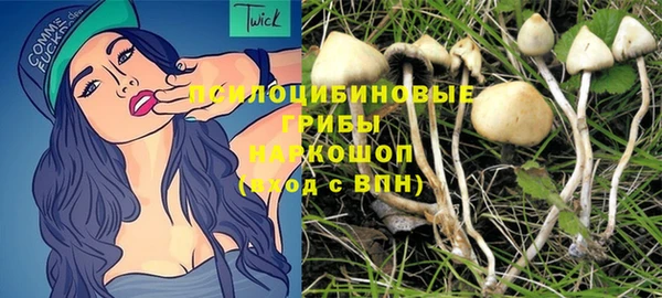 индика Гусь-Хрустальный
