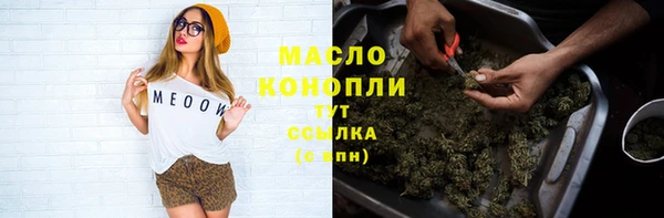 индика Гусь-Хрустальный