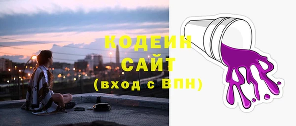 индика Гусь-Хрустальный