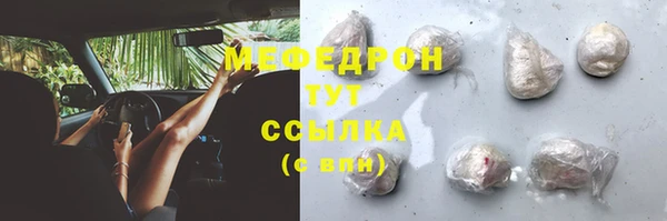 индика Гусь-Хрустальный
