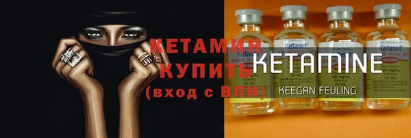 индика Гусь-Хрустальный