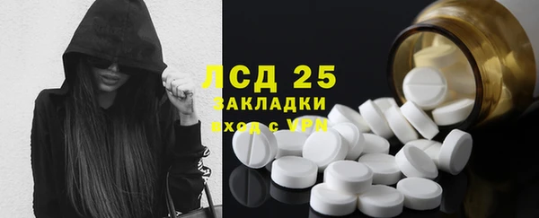индика Гусь-Хрустальный