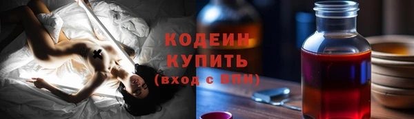 индика Гусь-Хрустальный