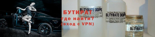 индика Гусь-Хрустальный