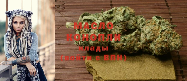 индика Гусь-Хрустальный