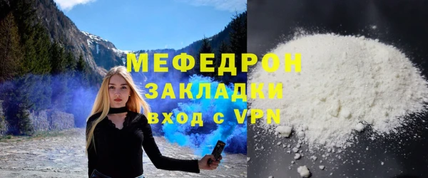 индика Гусь-Хрустальный