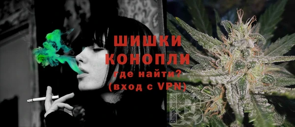 индика Гусь-Хрустальный