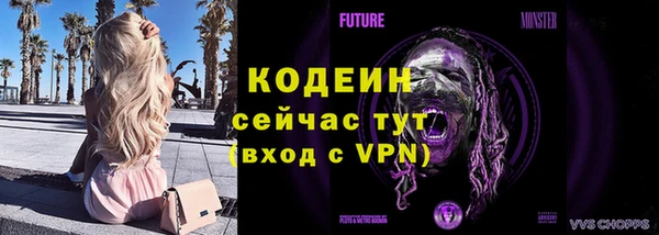 индика Гусь-Хрустальный