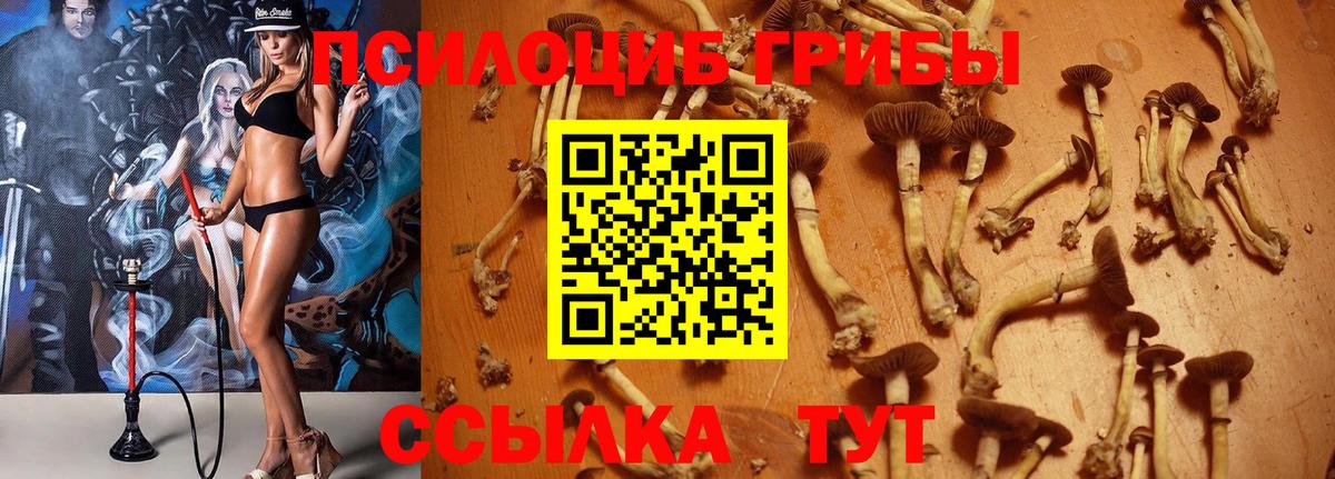 Донецк  Псилоцибиновые грибы Magic Shrooms  Вход с VPN 